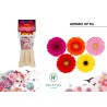 Gerbera Diamond Mix in row