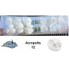 Anthurium Presence blanco 