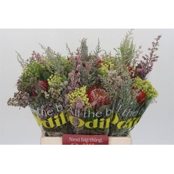 Bouquet Verdes africanos