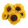 Girasol