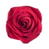 Rosa Explorer