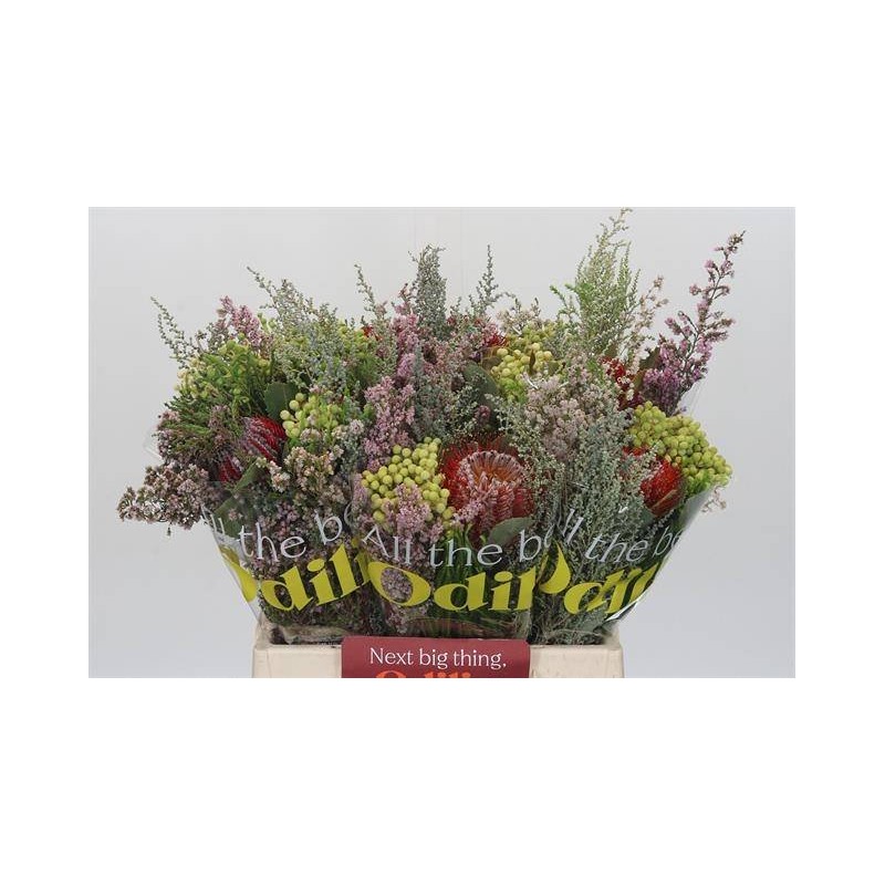 Bouquet Verdes africanos